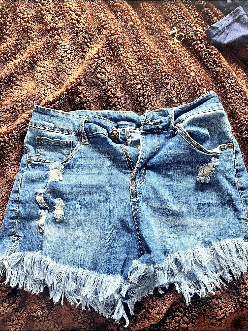 Mid Rise Frayed Ripped Destroyed Denim Shorts
